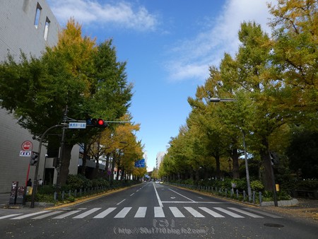 171112-山下公園通り (48)