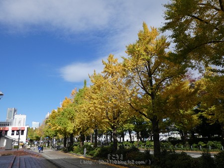 171112-山下公園通り (57)