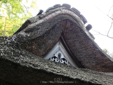 171113-報国寺 (15)