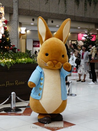 171112-ランドマークタワー クリスマスツリー (56)