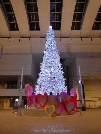 171129-クイーンズスクエア クリスマスツリー (30)