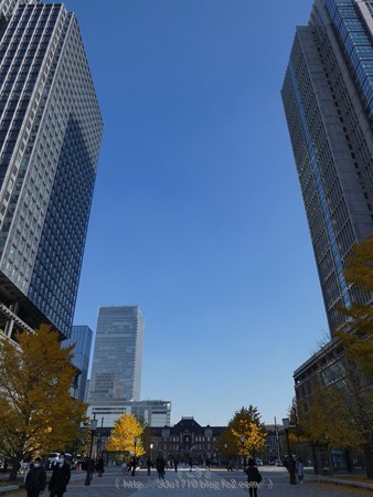 171207-東京駅行幸通り (22)