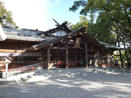 172229-猿田彦神社 (2)