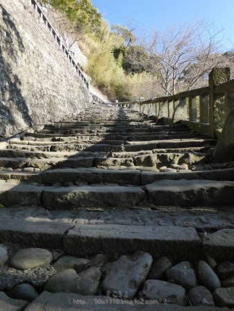 180110-久能山東照宮 (30)