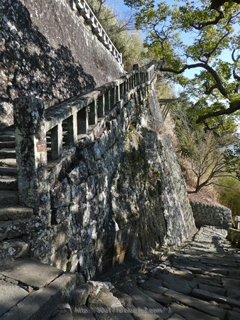 180110-久能山東照宮 (41)