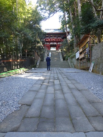 180110-久能山東照宮 (143)