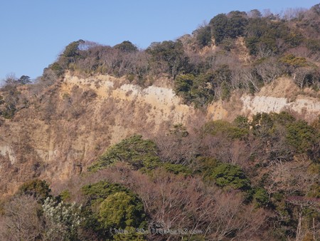 180110-久能山ロープウェイ (14)