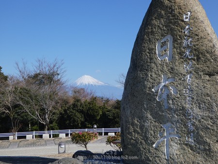 180110-日本平 (8)