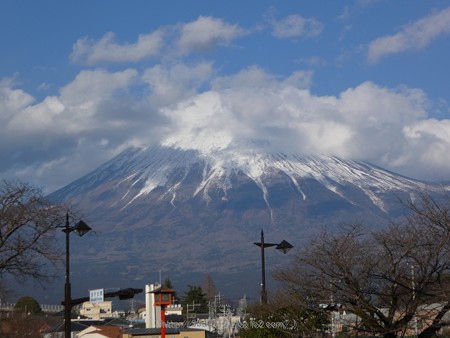 180110-富士山本宮浅間大社 (1)