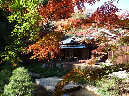 091204-明月院庭園 (72)