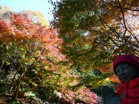 091204-明月院庭園 (81)