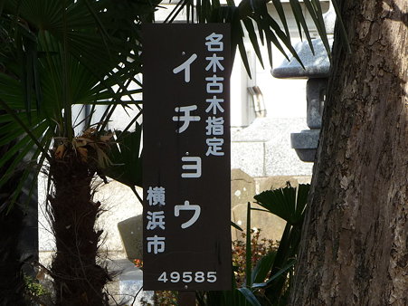 100120-3.喜昌寺 (6)