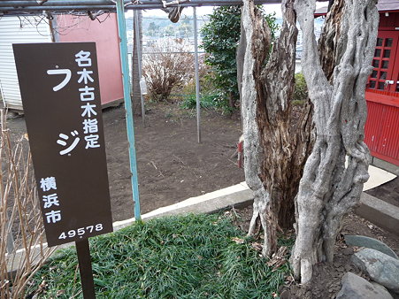 100120-8.全通院勢至堂 (10)