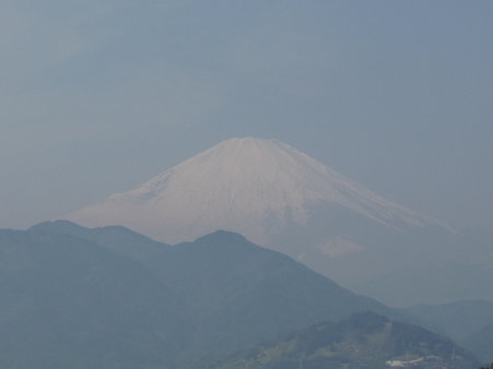 100223-松田山 河津桜 (73)