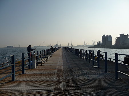 100224-本牧海釣り桟橋 (20)