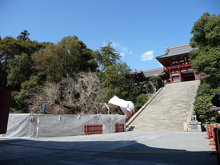 100311-八幡さま (21)