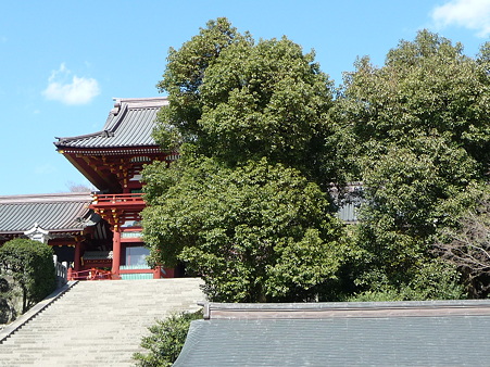 100311-八幡さま (24)