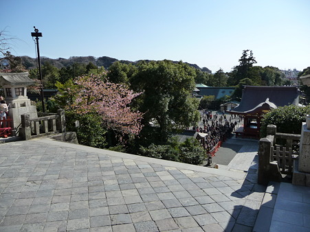 100311-八幡さま (37)