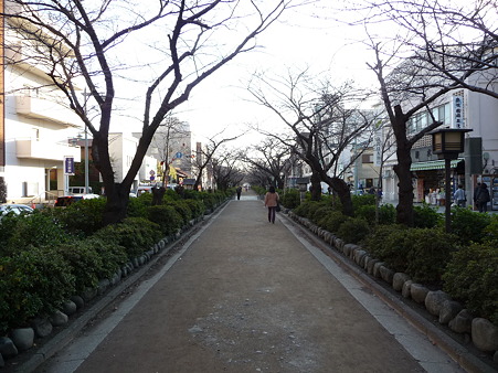 101210-段葛 (3)