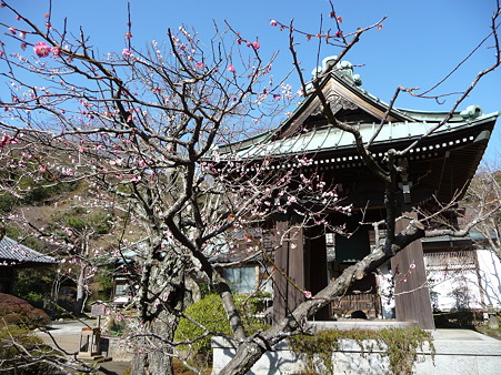110225-海蔵寺 (13)