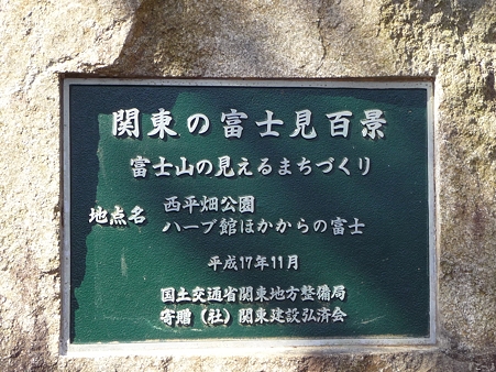 110305-松田山 河津桜 (85)