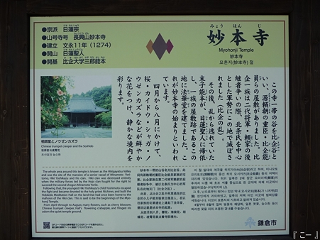 110406-妙本寺 (2)