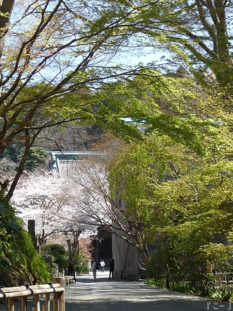 110406-妙本寺 (34)