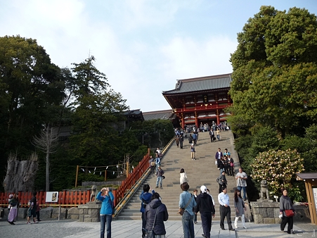 110411-八幡さま (7)