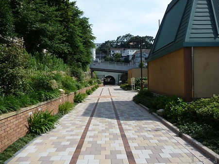 110622-東横廃線 反町→横浜 (27)