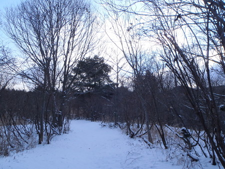14121405