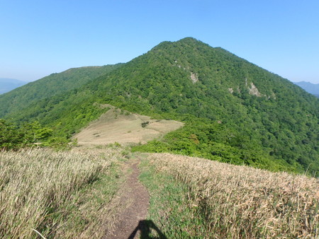 P5200037