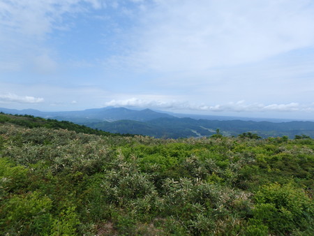 P6030266
