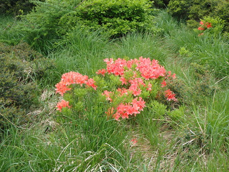 P6030271