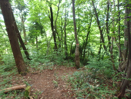 P6030281