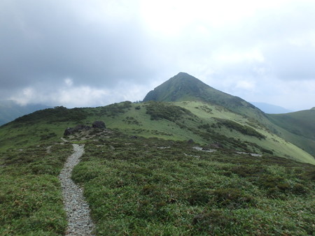 P7140039