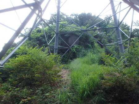 P7300165