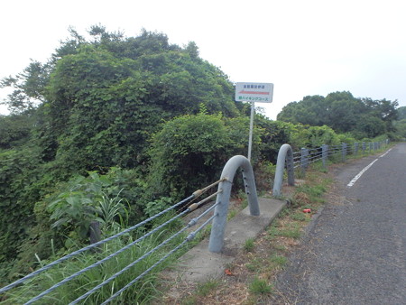 P7300174
