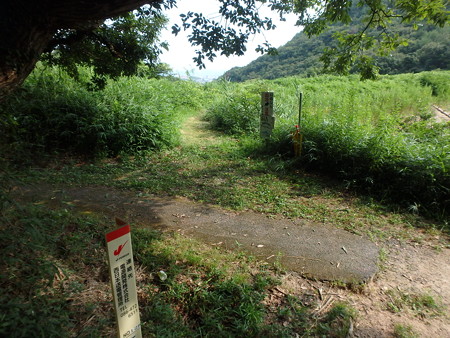 P7300179