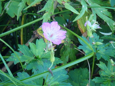 P9090016