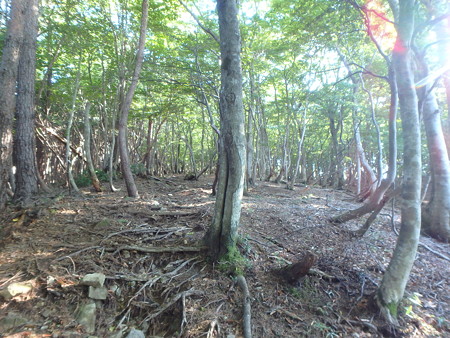 P9240010