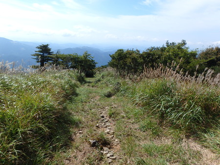 P9240042