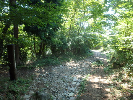 P9260059
