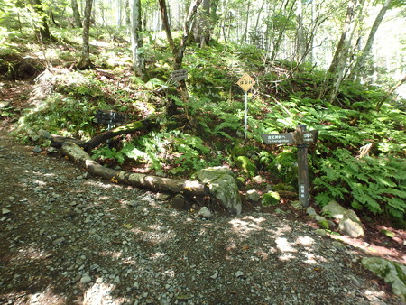 P9290005
