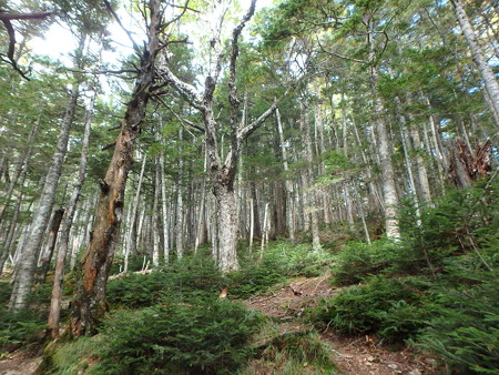 P9290027