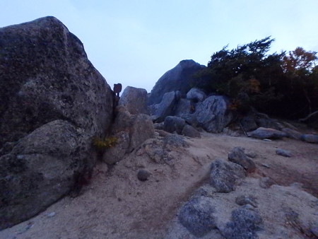 P9300055
