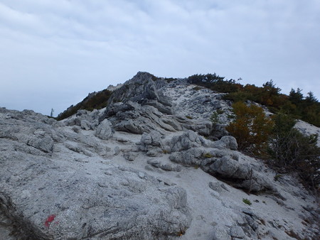 P9300142