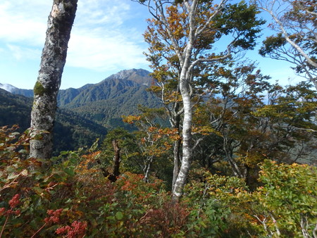 PA080040