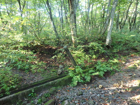 PA080006