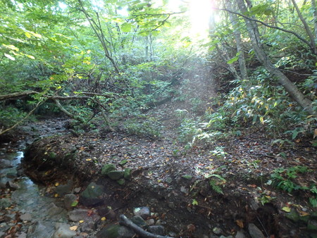 PA080008