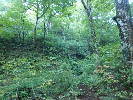 PA080013